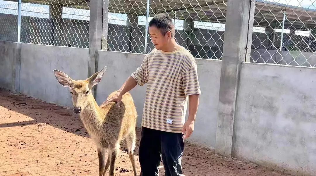 新宝6登录地址